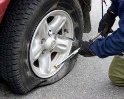 Untitled design (19)